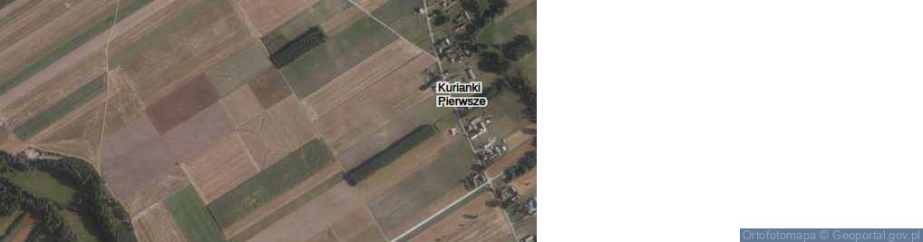 Zdjęcie satelitarne Kurianki Pierwsze ul.